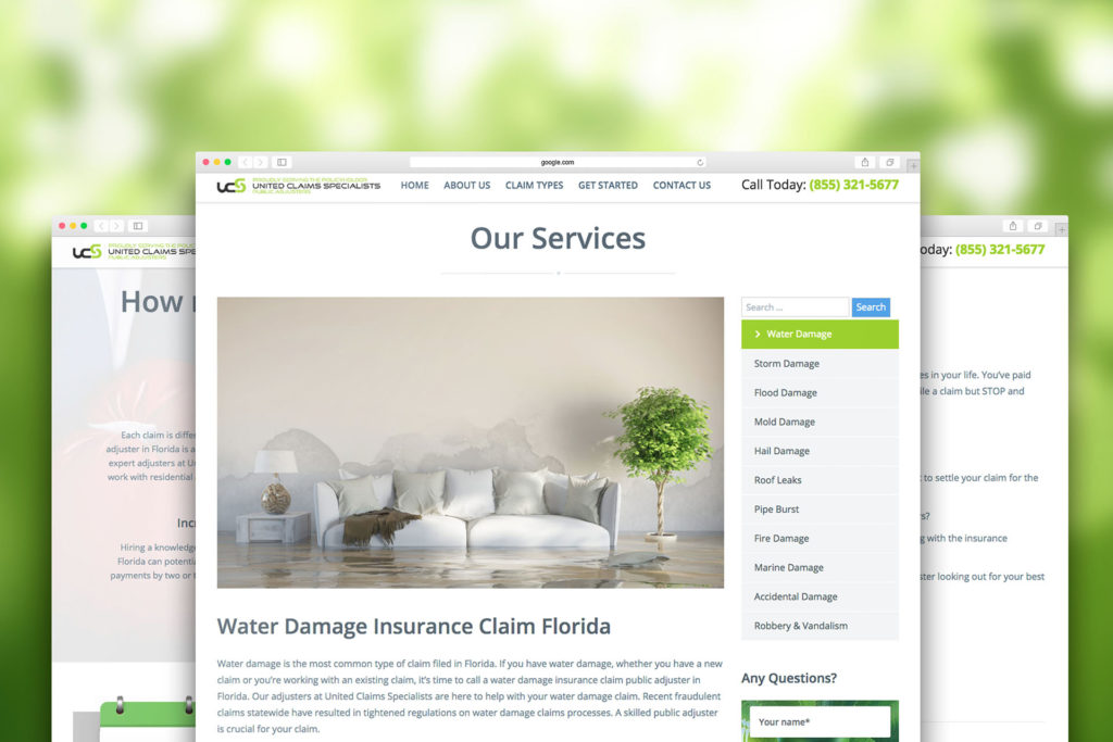 UCS Web Development