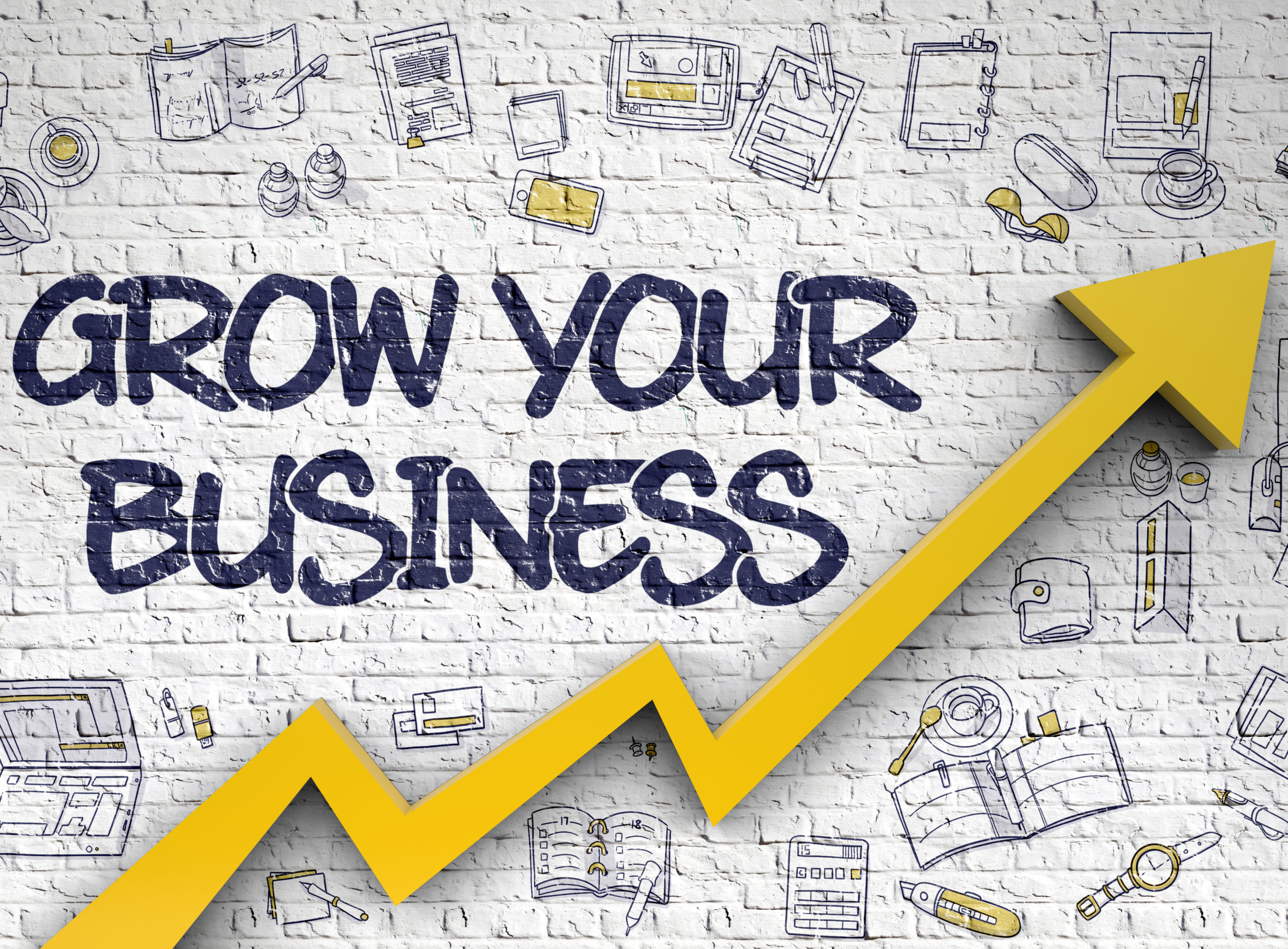 Grow Your Business Drawn on White Wall.