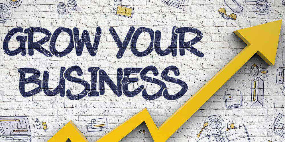 Grow Your Business Drawn on White Wall.