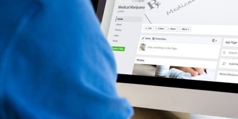 mmj-social-media mmj-social-media